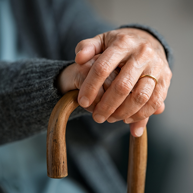 La importància de l'accessibilitat